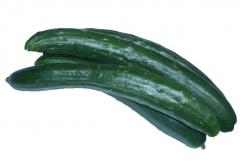 夏野菜、「胡瓜」